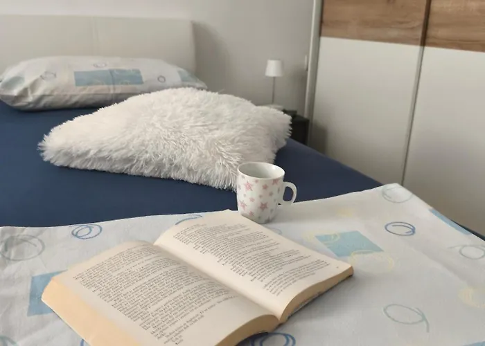 Apartman Radic