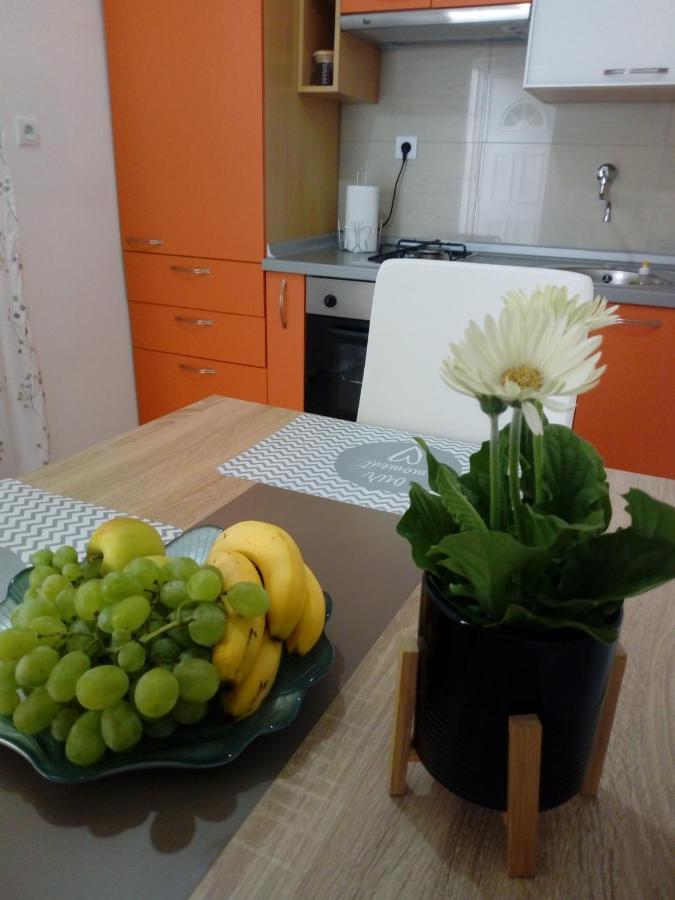 Appartamento Radic *