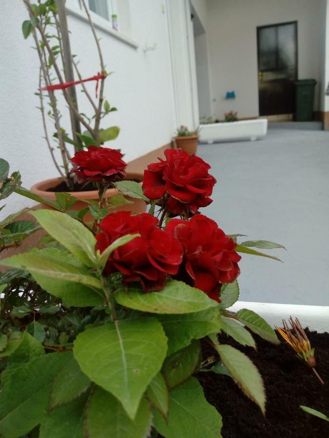 Appartement Radic *